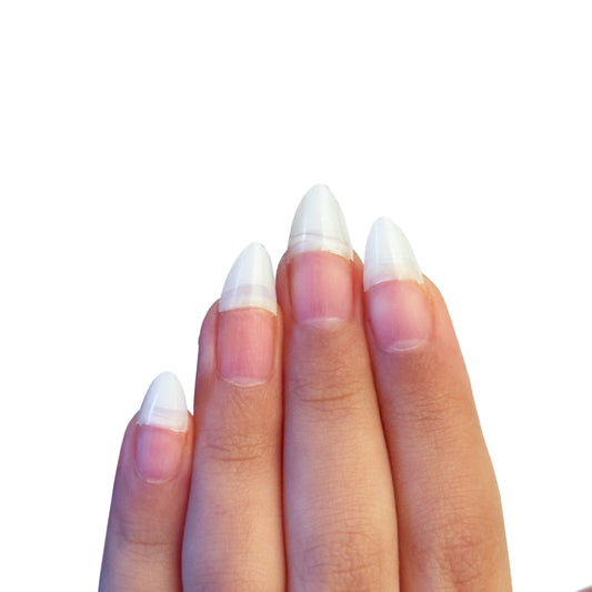 Almond X-small Tippar